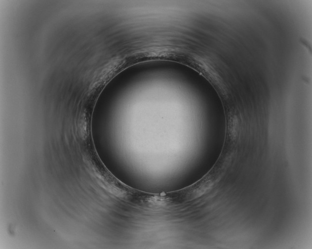 X0000102460261200808081234