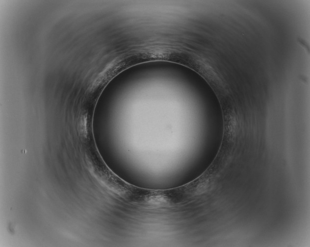 X0000102460262200808081234