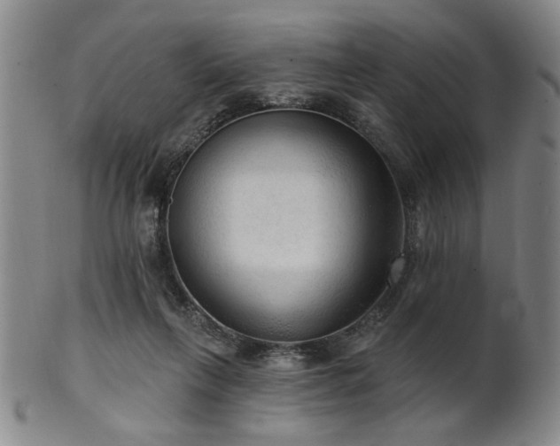 X0000102460263200808081234