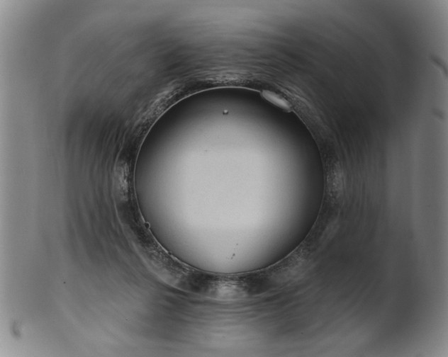 X0000102460264200808081234