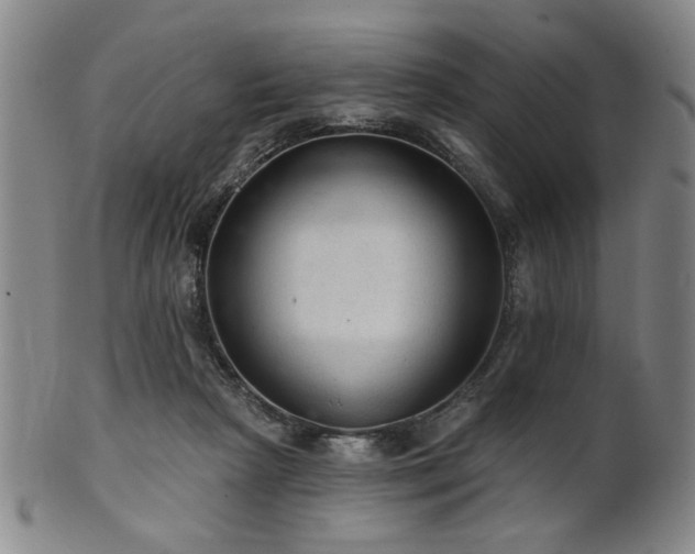 X0000102460265200808081234