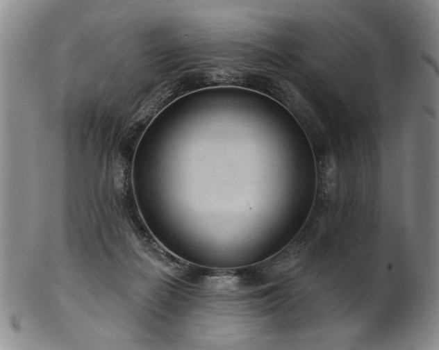 X0000102460266200808081234