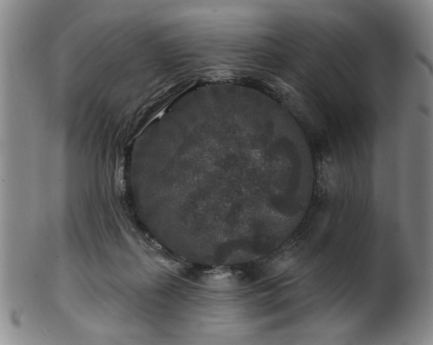 X0000102460267200808081234