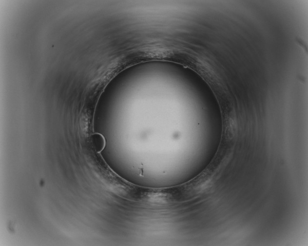 X0000102460268200808081234