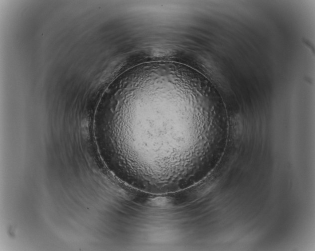 X0000102460269200808081234