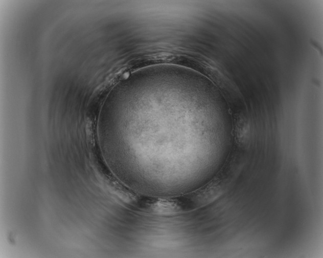 X0000102460270200808081234