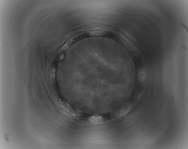 X0000102460271200808081234