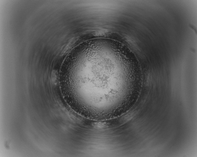 X0000102460273200808081234