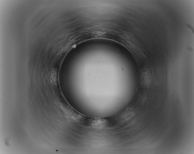 X0000102460274200808081234