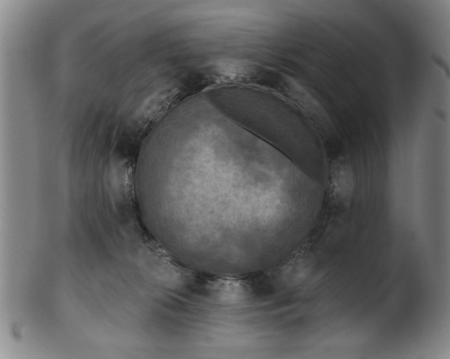 X0000102460276200808081234