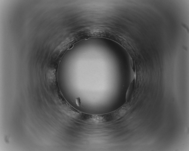 X0000102460278200808081234