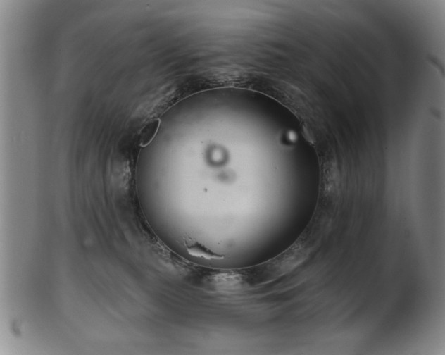 X0000102460279200808081234