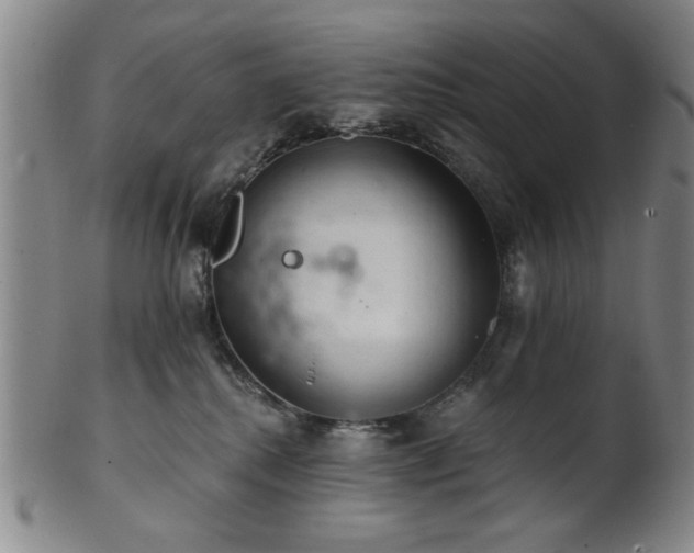 X0000102460280200808081234