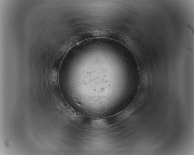 X0000102460281200808081234