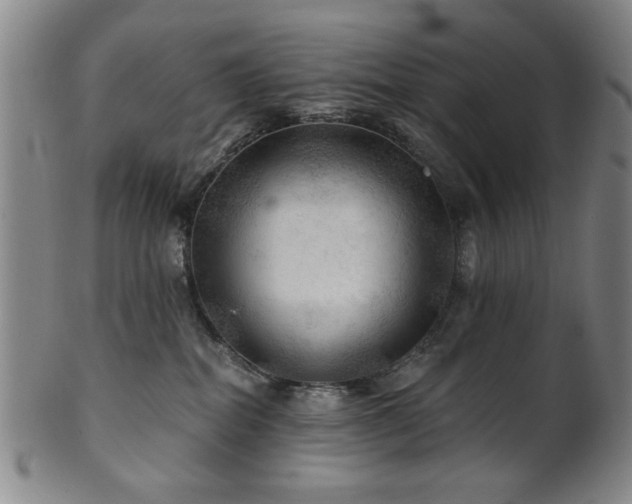 X0000102460282200808081234