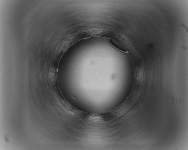 X0000102460283200808081234