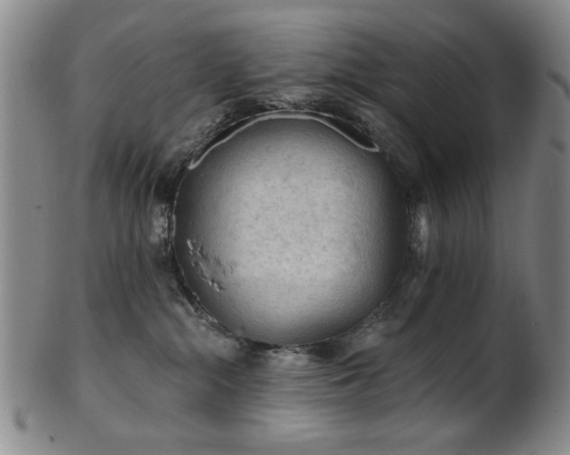 X0000102460284200808081234