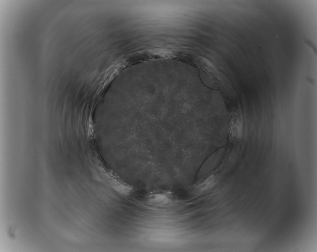 X0000102460285200808081234