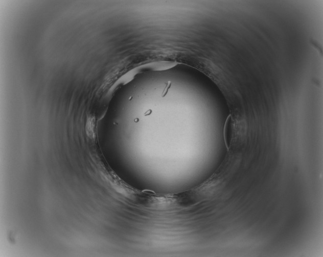 X0000102460286200808081234