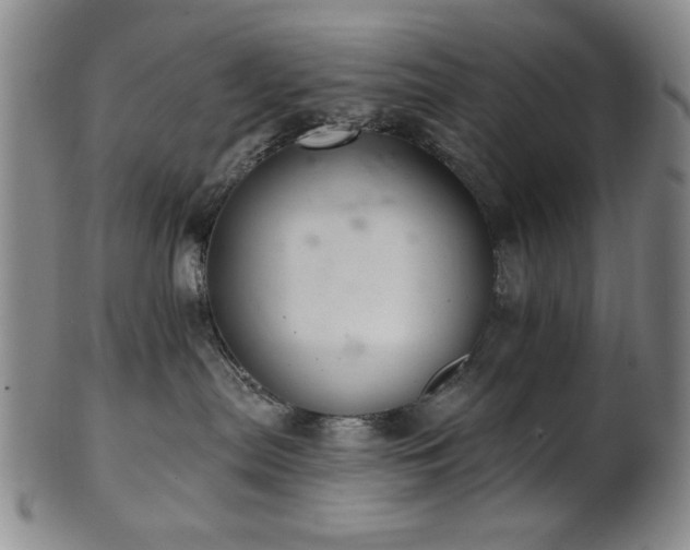 X0000102460287200808081234