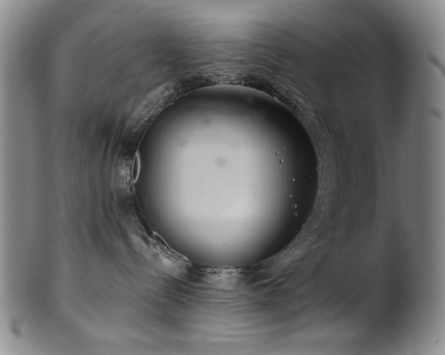 X0000102460288200808081234