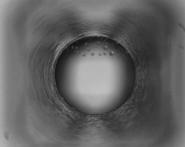 X0000102460289200808081233