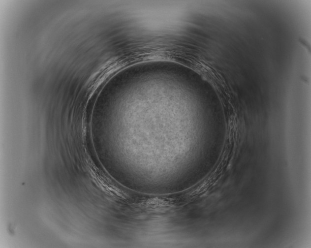 X0000102460290200808081233