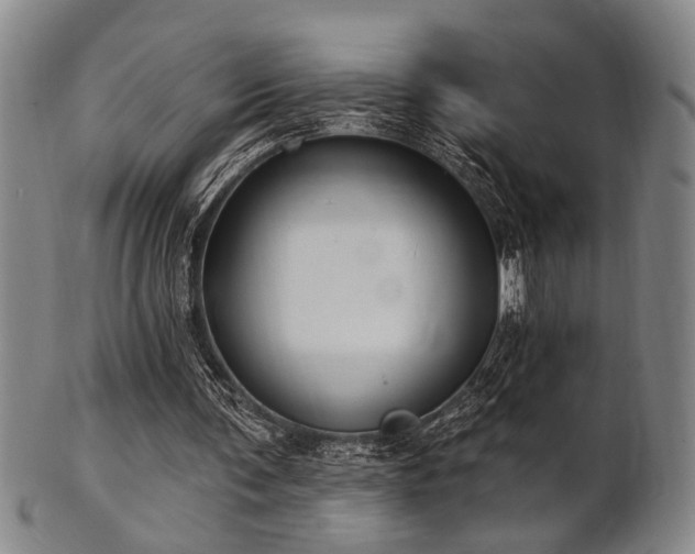 X0000102460291200808081233