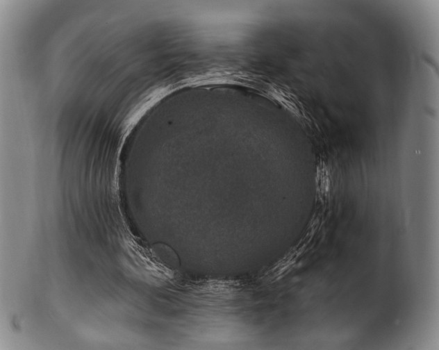 X0000102460292200808081233