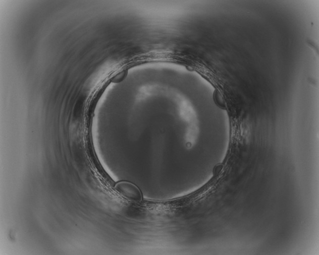 X0000102460293200808081233