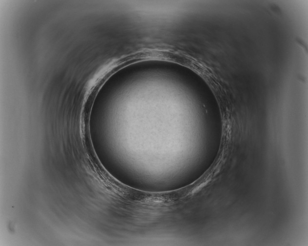 X0000102460294200808081233