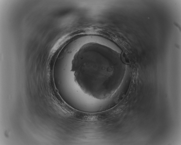 X0000102460295200808081233