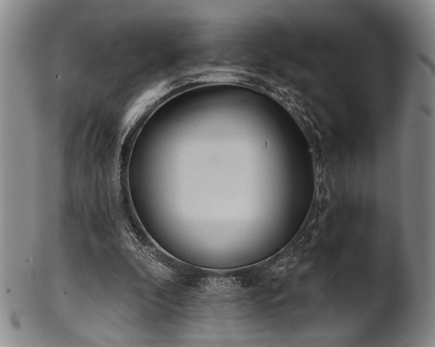 X0000102460296200808081233