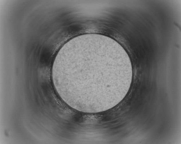 X0000102460297200808081233