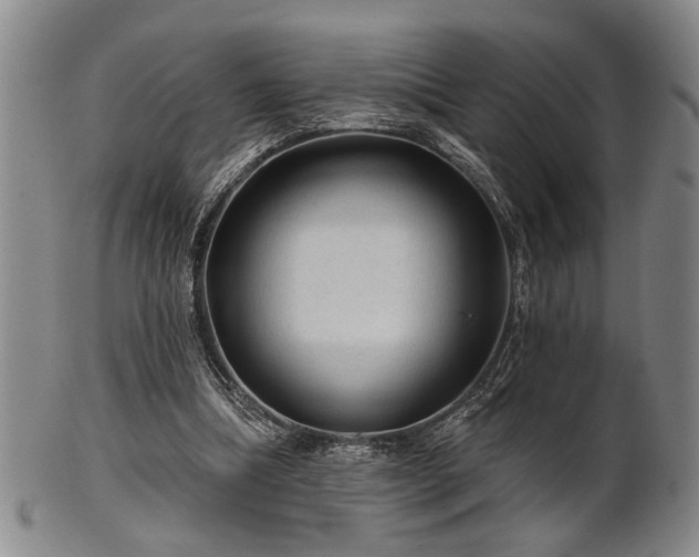 X0000102460298200808081233