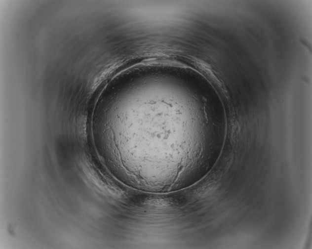 X0000102460299200808081233