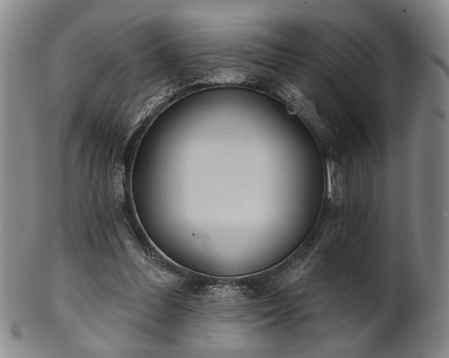 X0000102460300200808081233