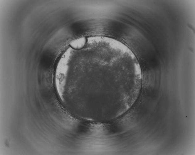 X0000102460301200808081233