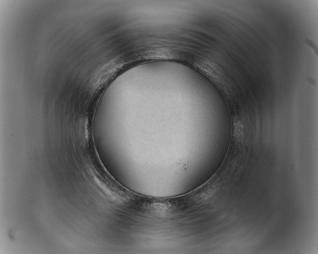 X0000102460302200808081233