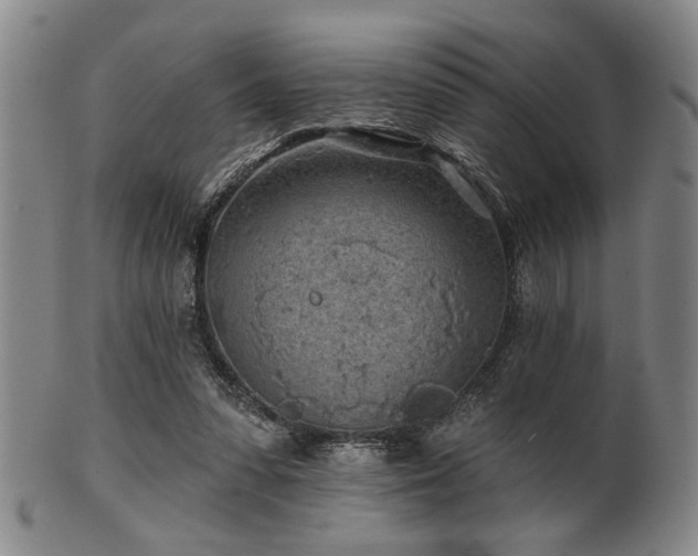 X0000102460303200808081233