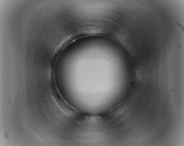 X0000102460304200808081233