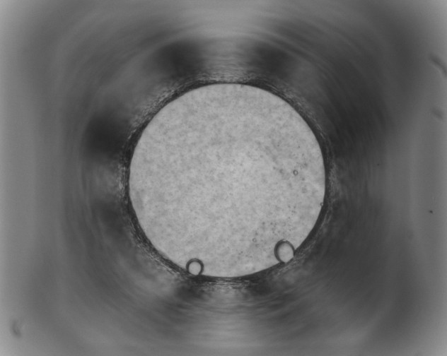 X0000102460305200808081233