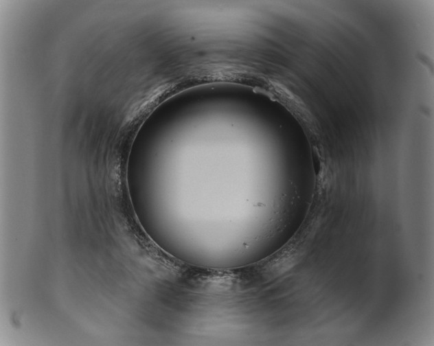 X0000102460306200808081233