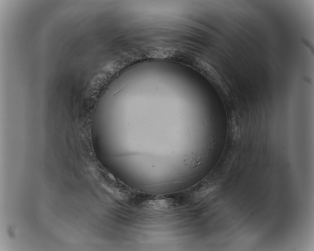 X0000102460307200808081233