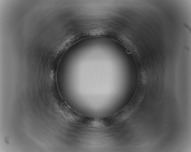 X0000102460308200808081233