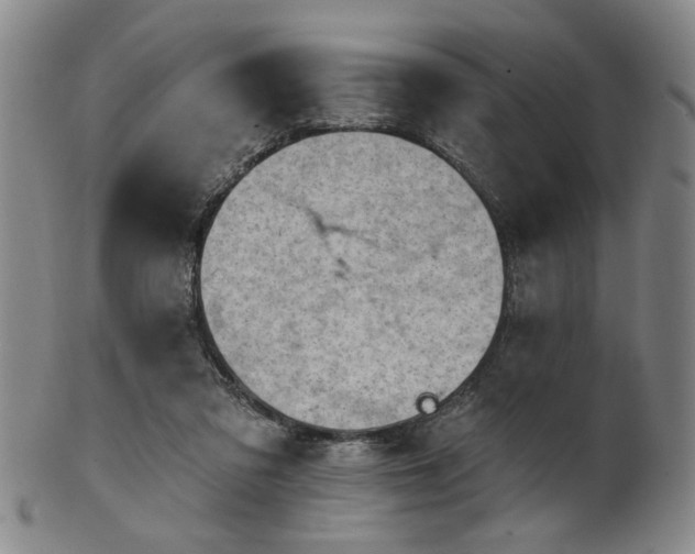 X0000102460309200808081233