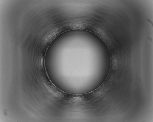 X0000102460310200808081233