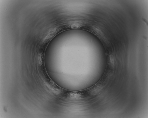 X0000102460311200808081233