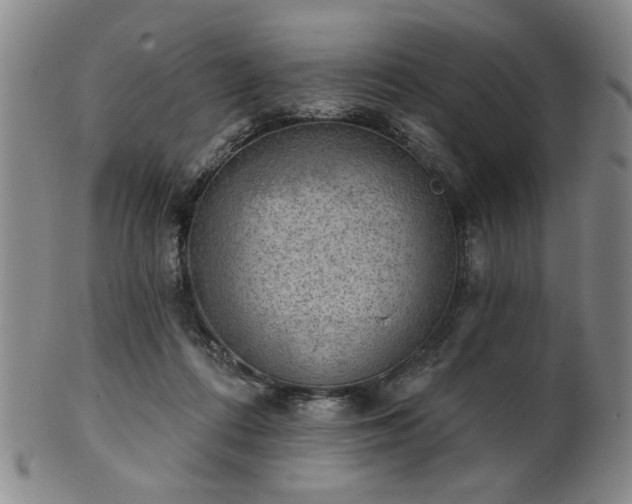 X0000102460312200808081233