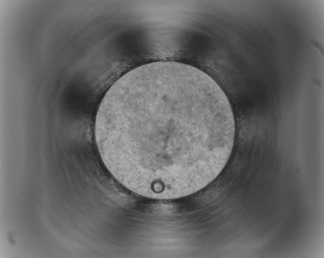 X0000102460313200808081233